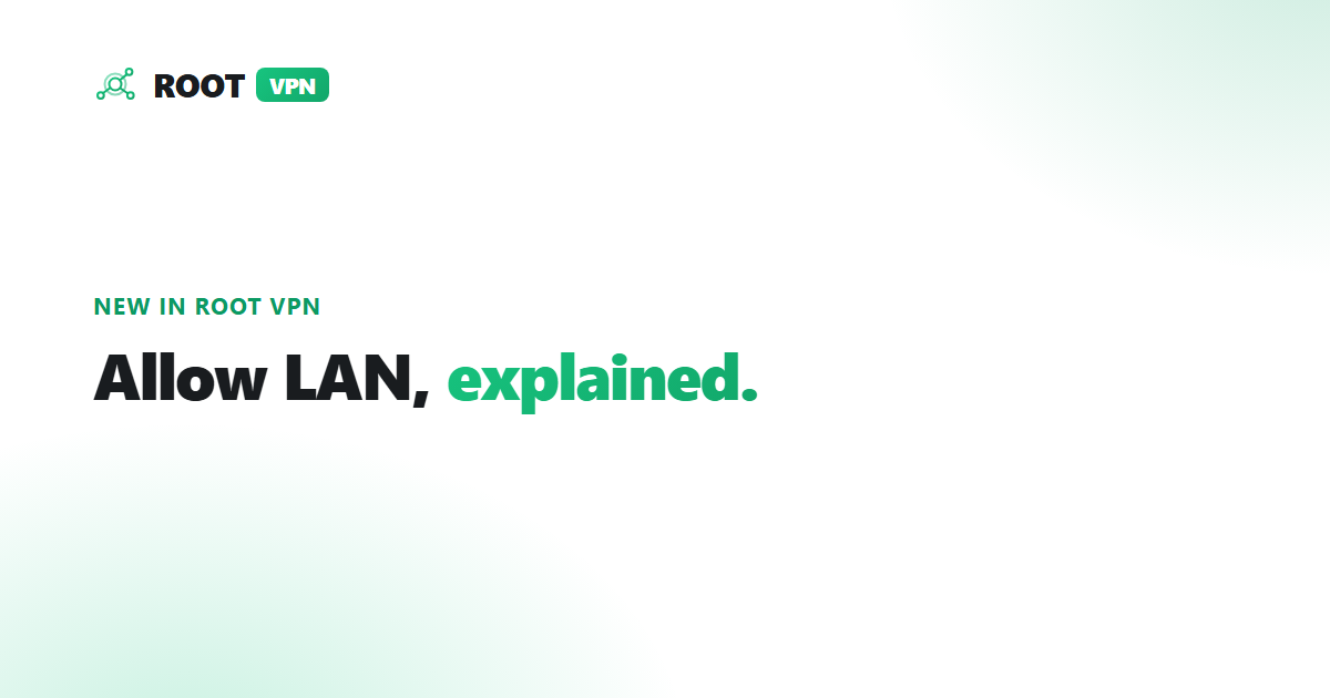 Allow LAN: use your VPN and local devices at the same time